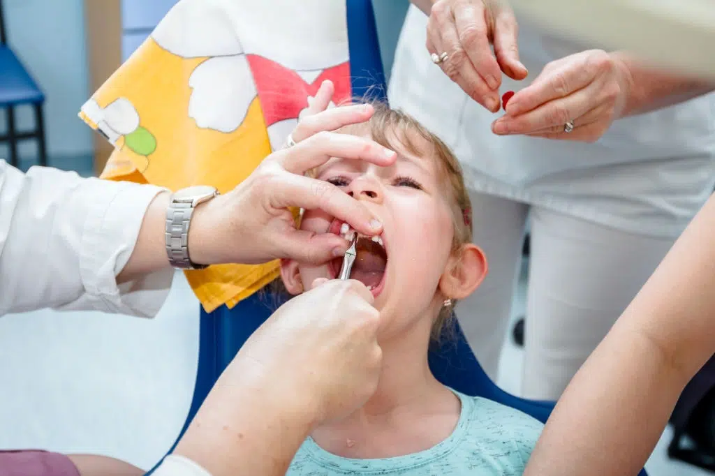 pediatric dentistry - Bellevue Azalea Dentistry