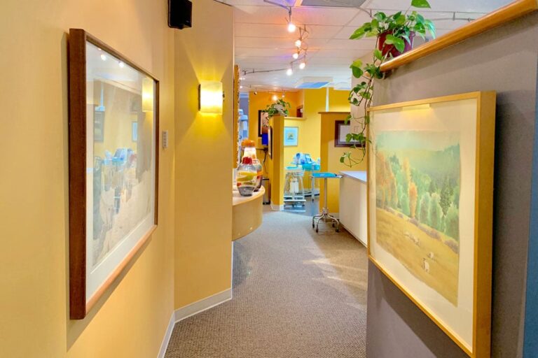 Dental treatment area at a Bellevue dental office